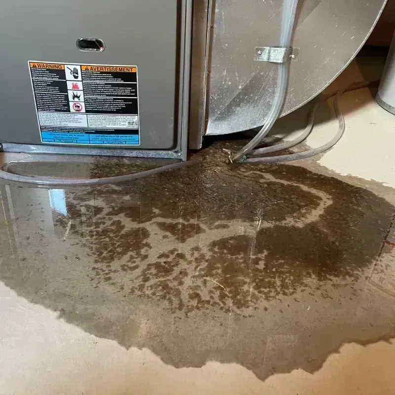 Appliance Leak Cleanup in Pike County, KY